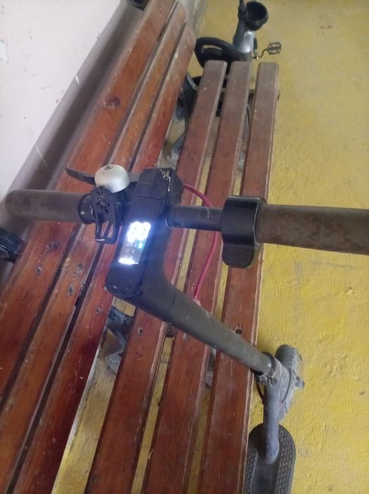 Elektra samakat bu