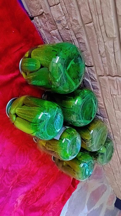 Продам огурцов свежие