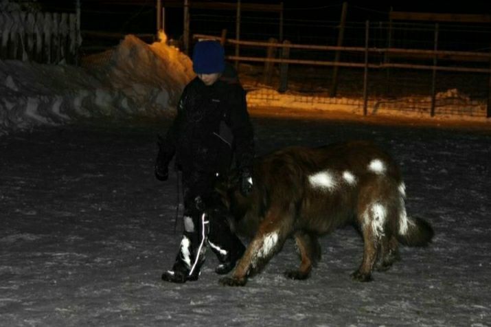 Светоотражающий спрей