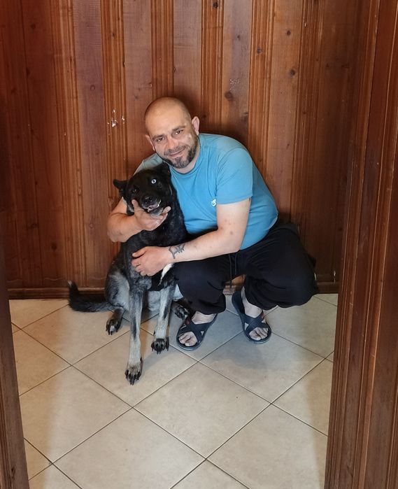 Разходка на Кучета  за София Tony Dog Walk
