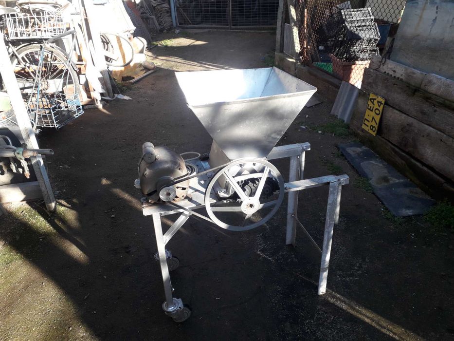 продавам гроздомелачка