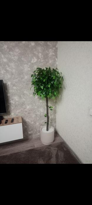 Искусственные (декоративные) деревья