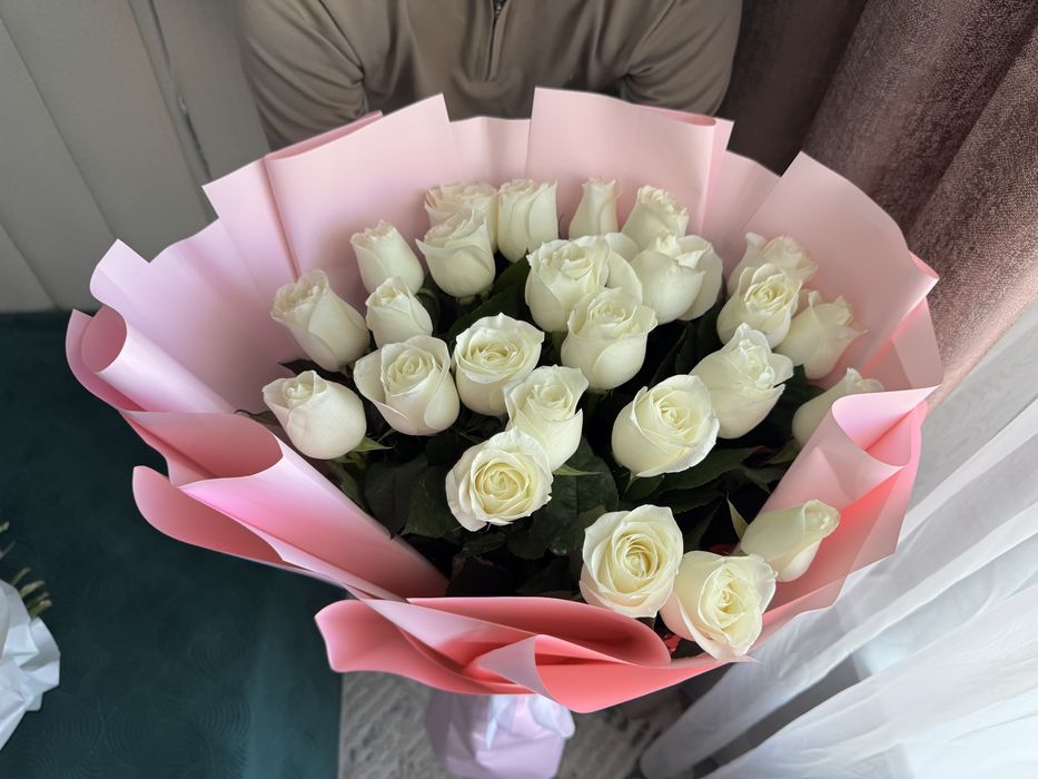 голландские розы