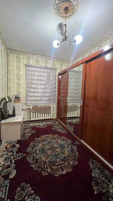 Олмазор т. Кора камиш 1/2