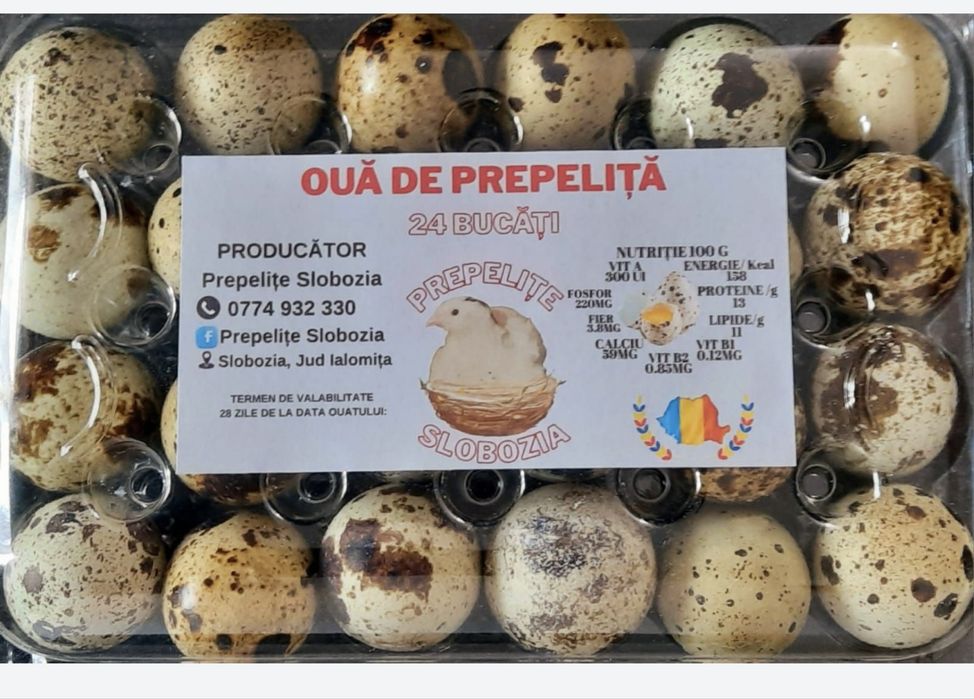 Ouă de prepeliță pt INCUBAT, cu Livrare în TOATĂ ȚARA. Garanție transp