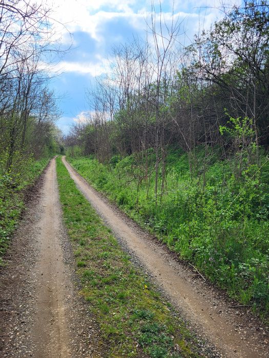 Teren 3600 mp  Valea Domneasca, Ghioroc