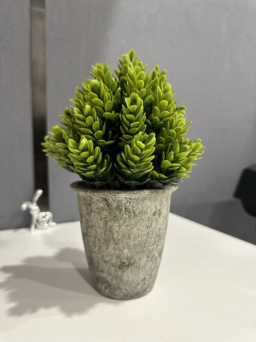 Трава в кашпо! Разные наборы