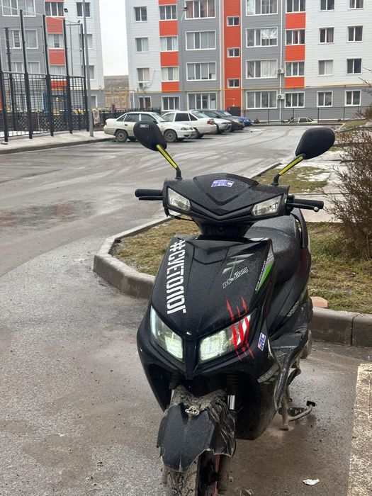 М8 жағдай ләлә тез алып қалыңдар