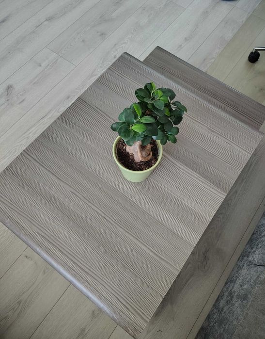 Масичка за всекидневна