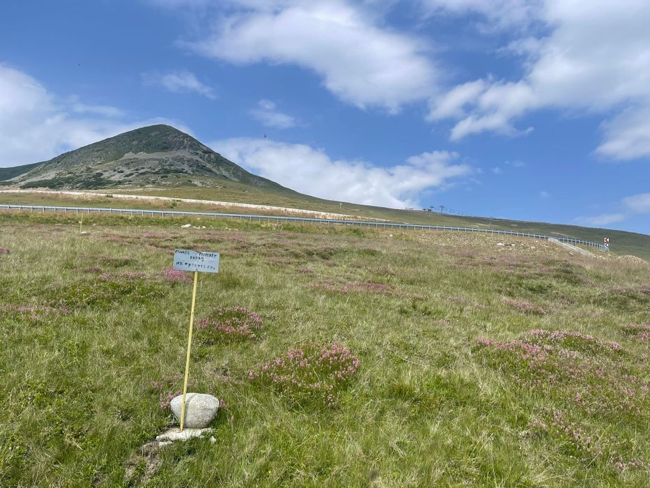 Teren de vânzare Stațiunea Rânca proprietate privata