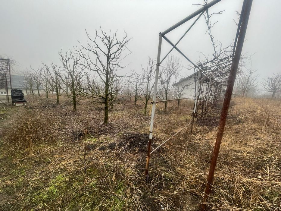 Teren intravilan 3600 mp – Str. Lovinescu, Rădășeni, utilități