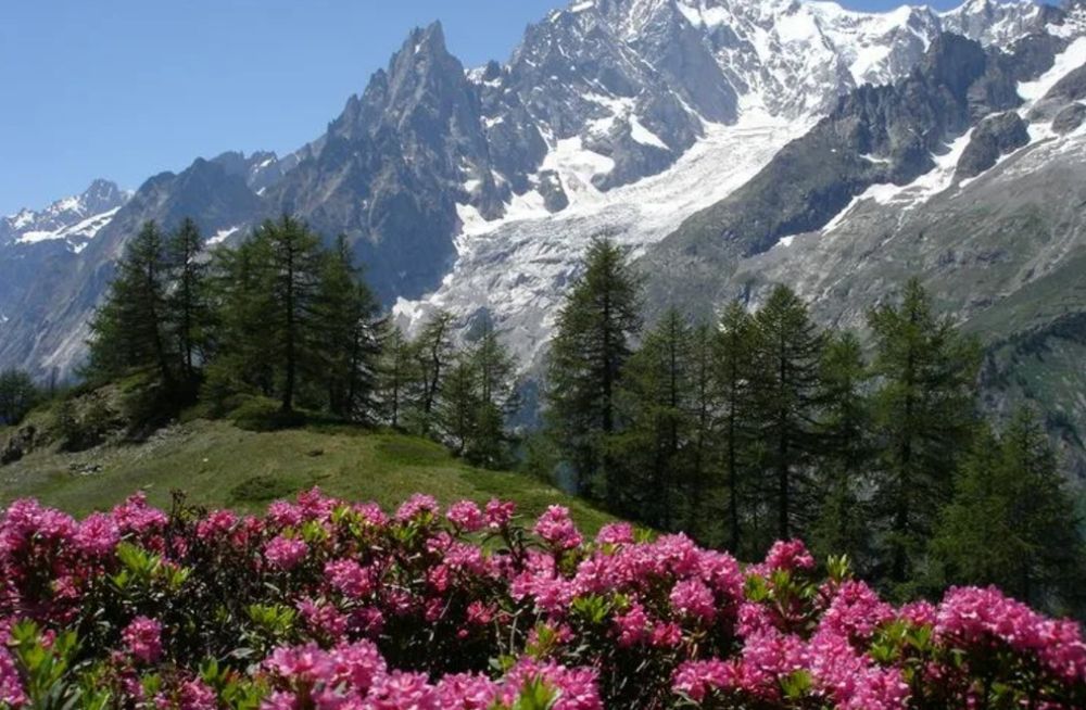 Такси горы Ташкент Чарвак Чимган Амирсай