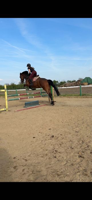 iapa de sport de vânzare