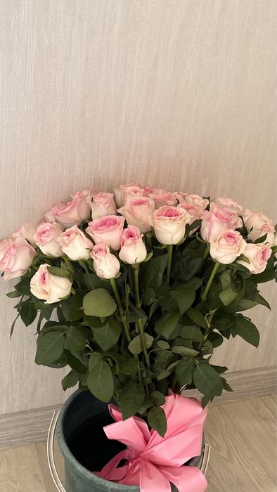 51 Розы бело-розовые