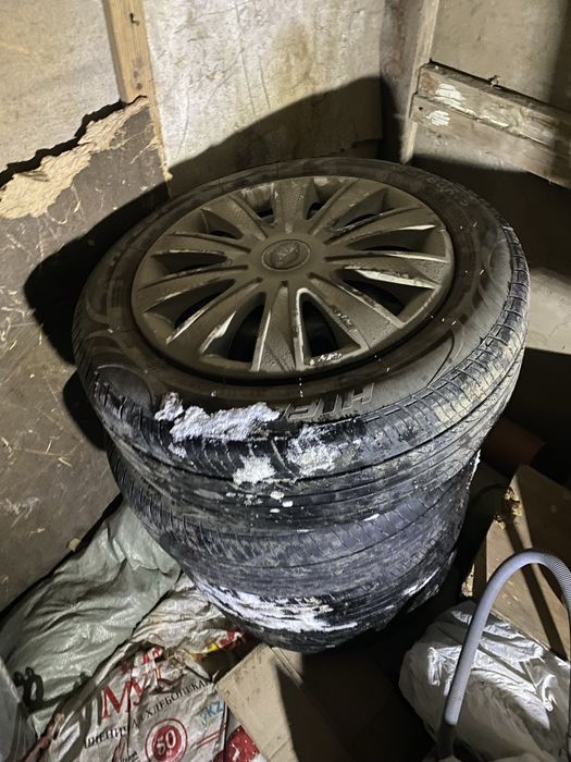 Р15 донгелек готовы летний