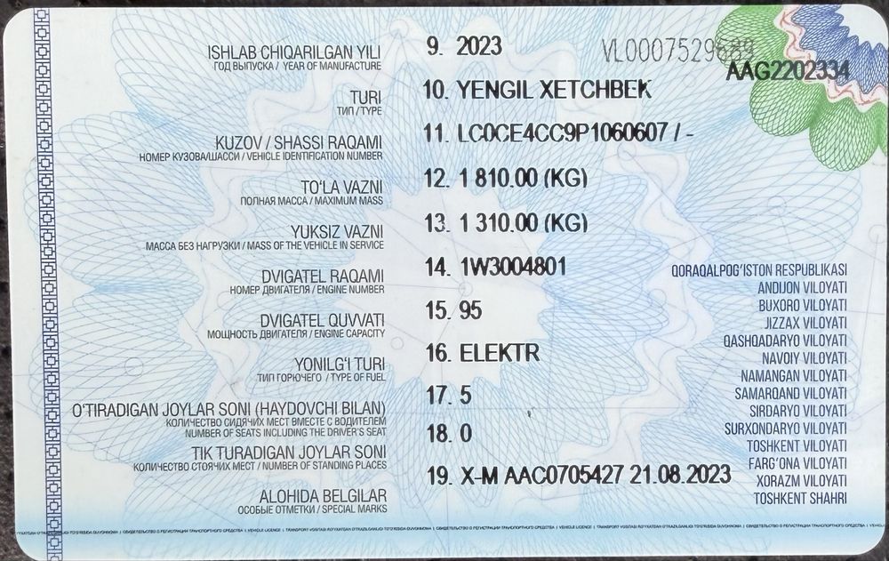 BYD Dolphin 2023 — 5