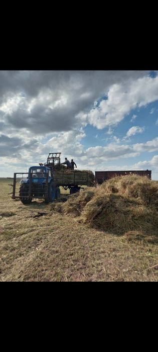 Продам Мтз 80 в комплекте.