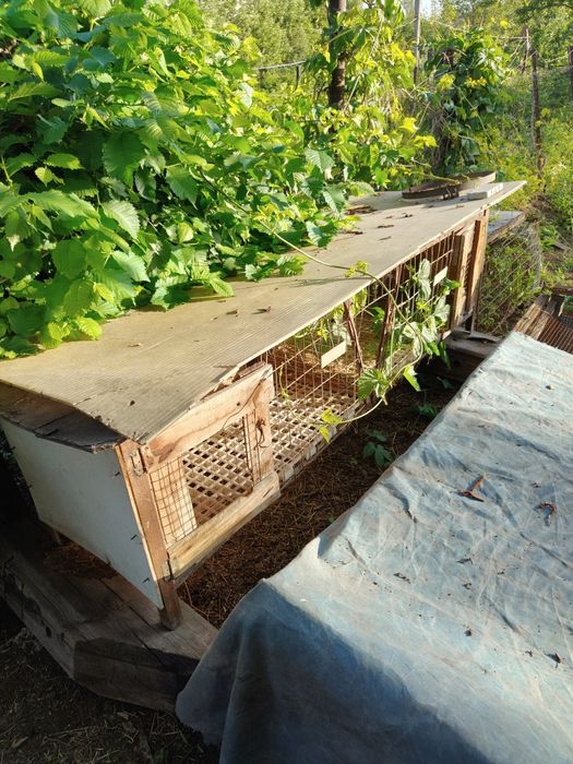 Клетка для кроликов