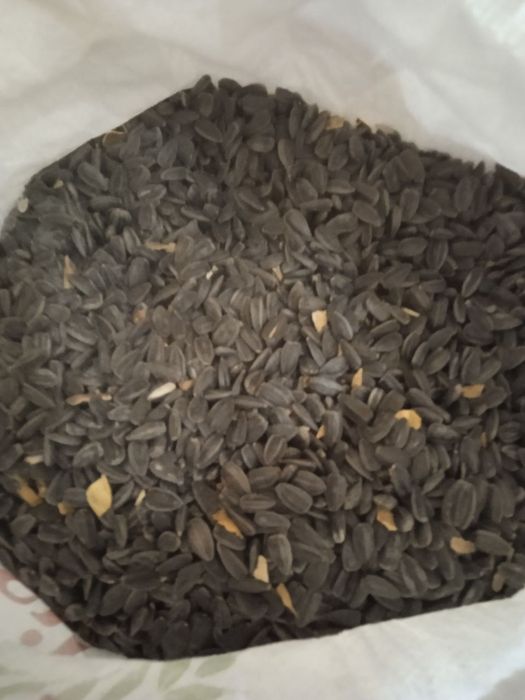 Krasnodar kungaboqar urug'liklari sotiladi