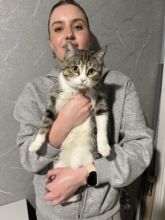 Кошечка ищет дом