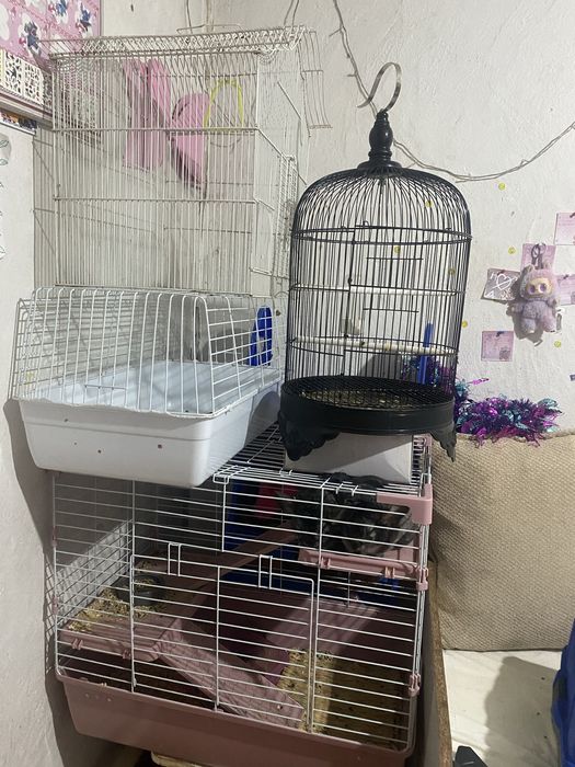 Продам срочно клетки