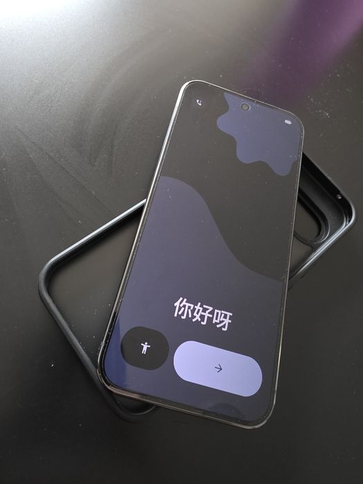 Google Pixel 9 Pro XL