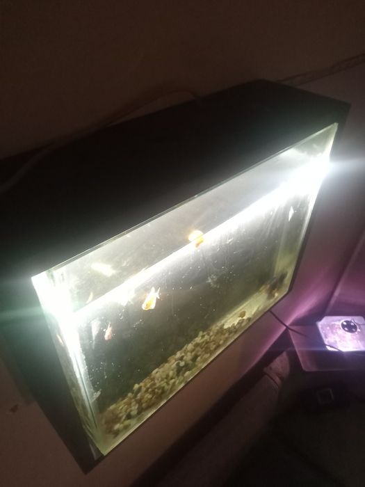 Продам новые стильные аквариумы