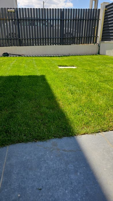 Amenajare/tuns/intretinere spatiu verde