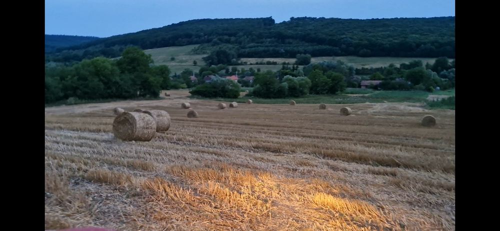 Vând baloț lucerna, fân, paie