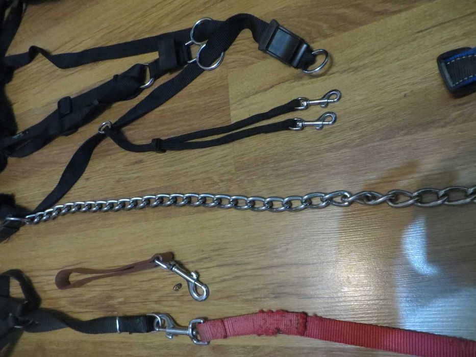 Нагръдници и поводи за кучета