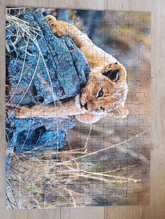 Пъзели Clementoni, Ravensburger, Trefl