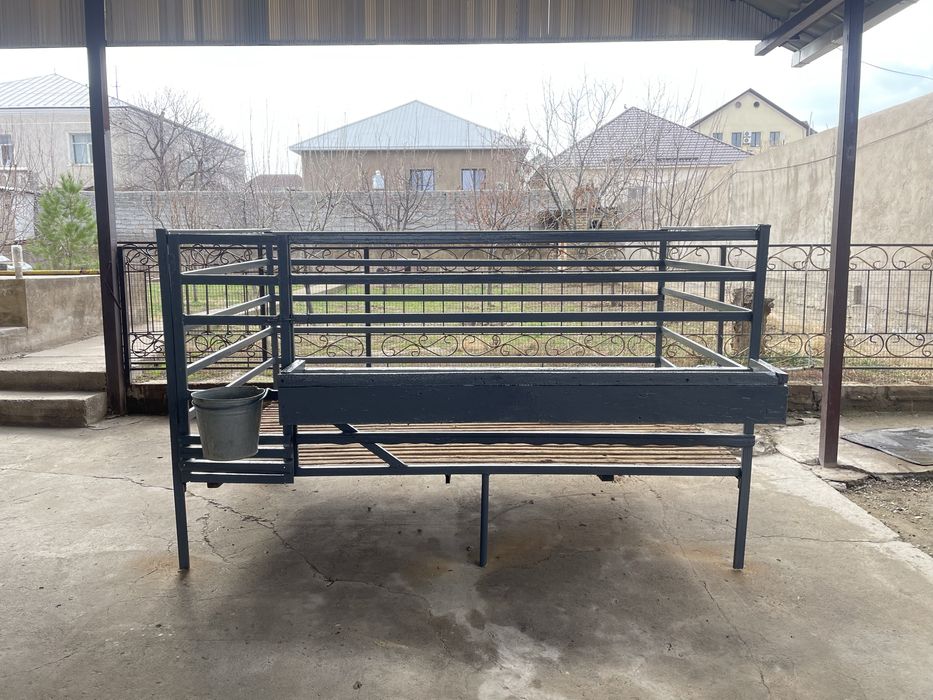 Тапчан. Кой кора. Кошкар