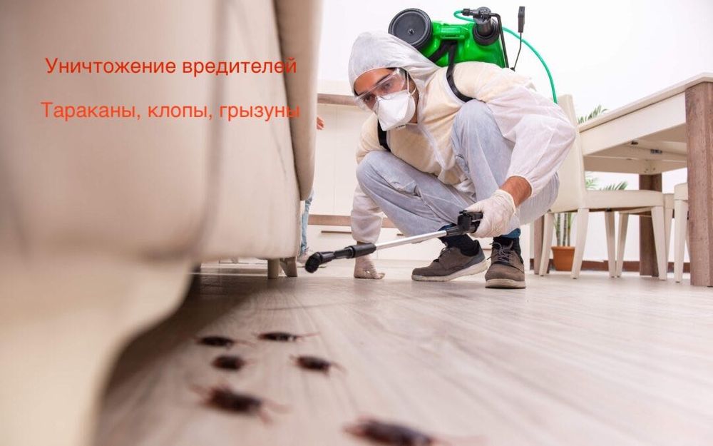 Избавление от клопов тараканов крыс