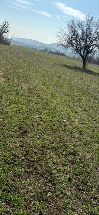 Продава се Парцел в с. Богомилово, Област Стара Загора - 1878 кв.м за 19 €/кв.м - Снимка #21