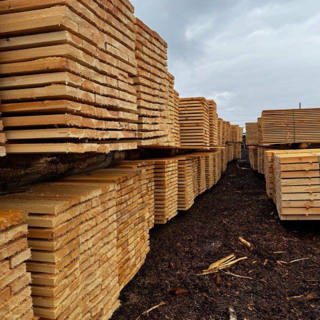 Taxta strapila maxsuloti