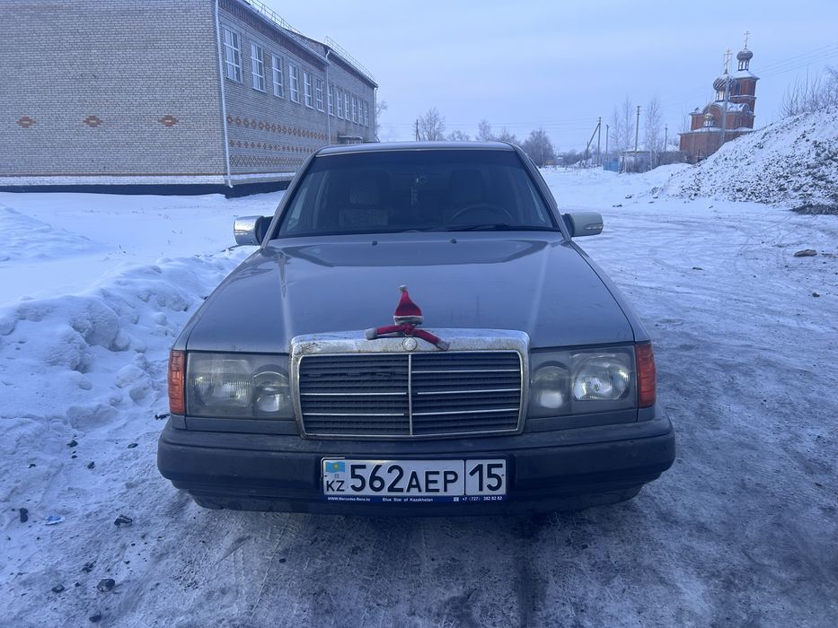 Продам живого мерса