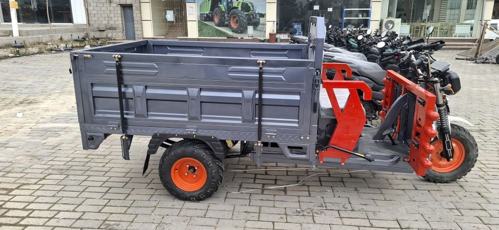 Muravek bor bizda
