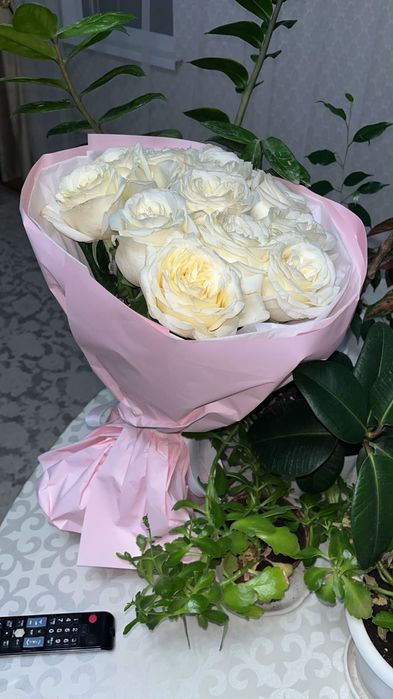 Продам цветы свежие