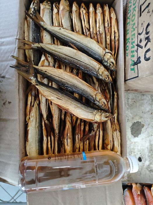 Рипус горячего копчения оптом