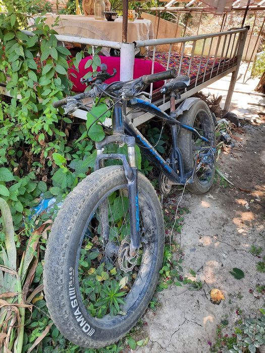 Velosiped shiroki balon