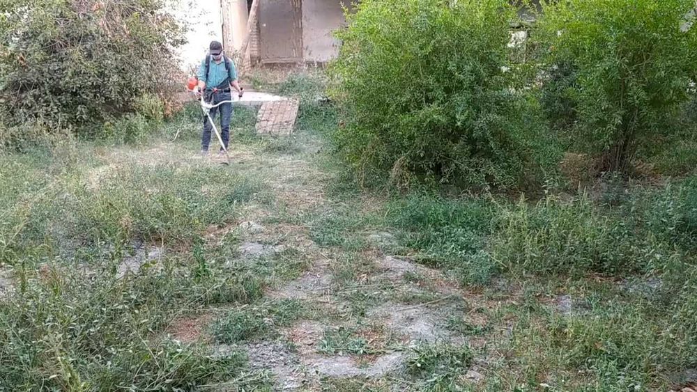 Чистый огород — богатый урожай!