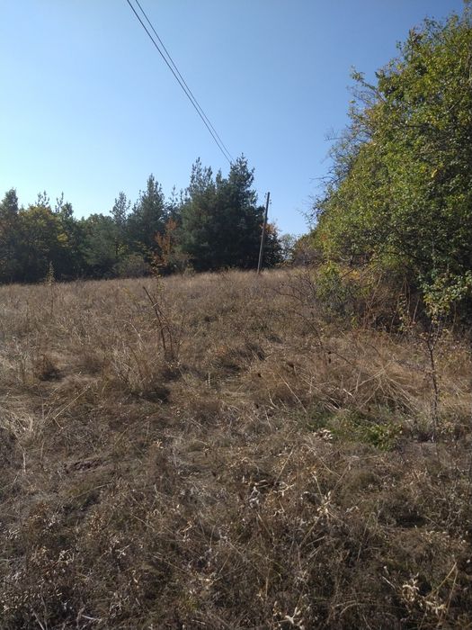 Продава се Парцел в с. Лесковдол, Област София-област - 2167 кв.м за 6 €/кв.м - Снимка #2