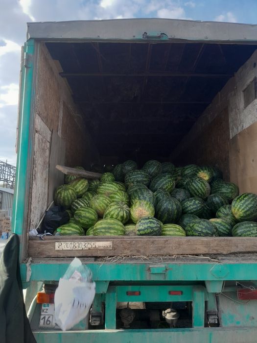 Прцеп каратишка сәл саудасыбар