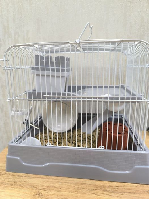 Продаются джунгарские маленькие хомячки с клеткой 250 000 сум