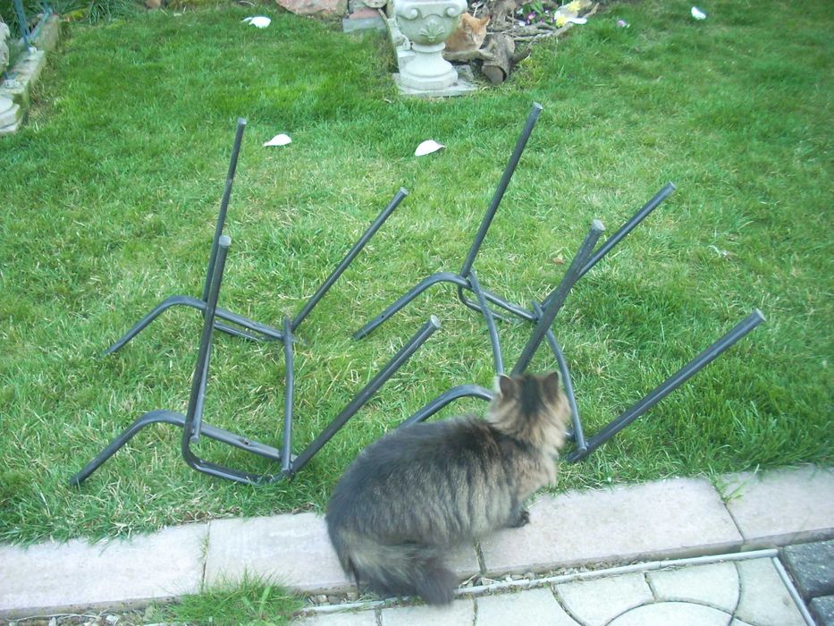 Sasiu Otel Scaun Birou - Sala de Asteptare - Vopsit electrostatic