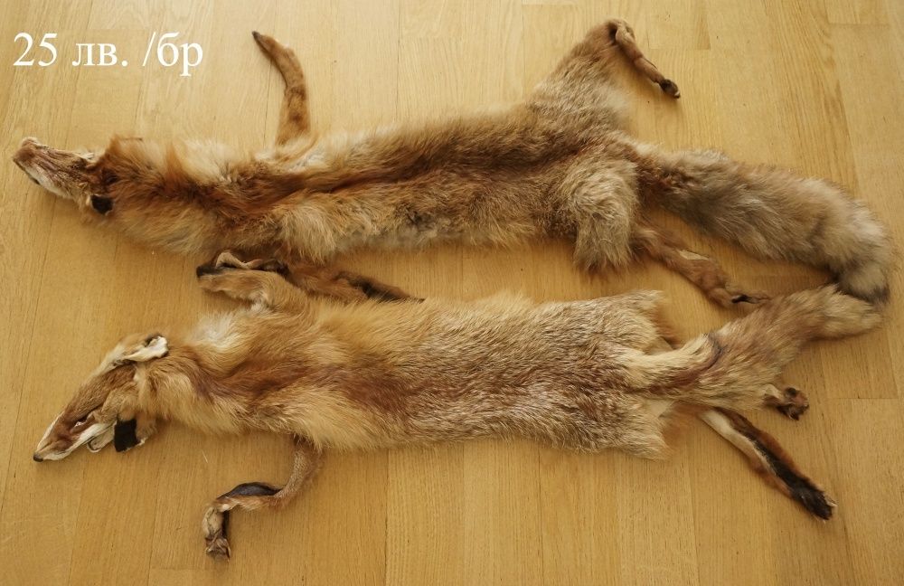 кожена яка   лисици  норки