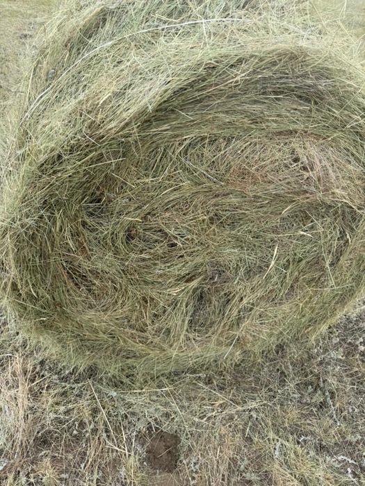 Сено в рулонах разнотравье