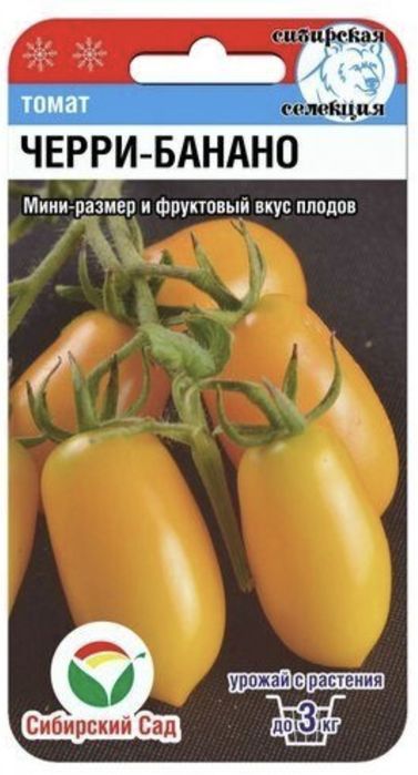 Рассада овощей томаты огурцы
