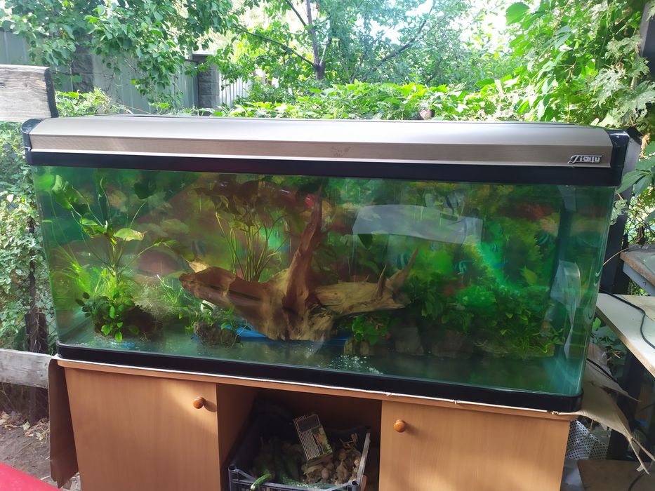 Заводской аквариум 440л .