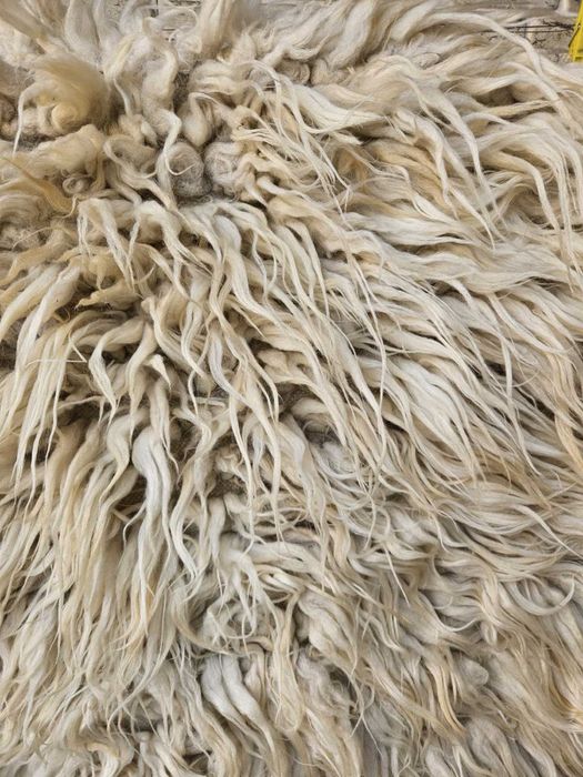 Халище от истинска вълна от Родопите